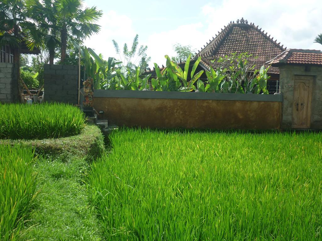 Villa Nini Ubud Quarto foto